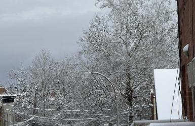 न्यू योर्क सिटीमा भारी हिमपातको चेतावनी, सडक यात्रामा सचेत रहन आग्रह